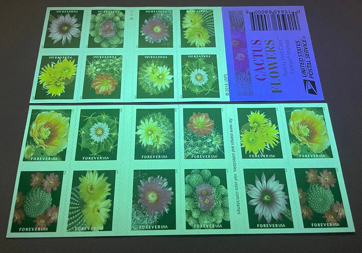 Cactus Flowers Forever Postage Stamps USPS