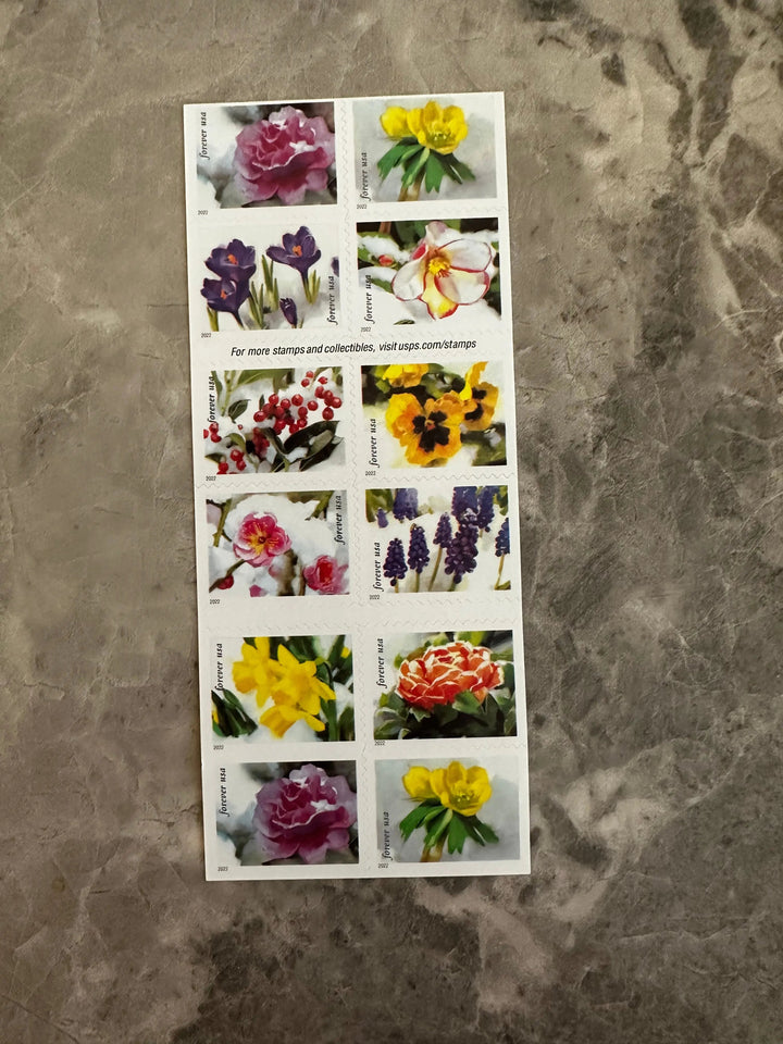 USPS Snowy Beauty Bloom Forever First Class Postage Stamps USPS